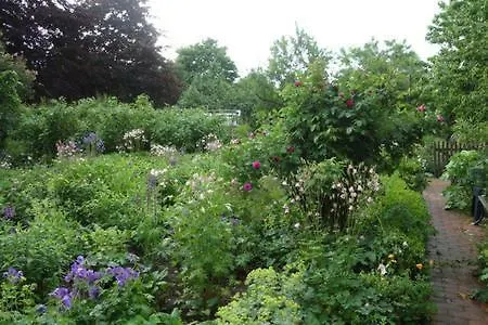 Apartman Gemuetliche Premium Oeko In Resthof, Super Ausgestattet, Keine Handwerker Und Monteure